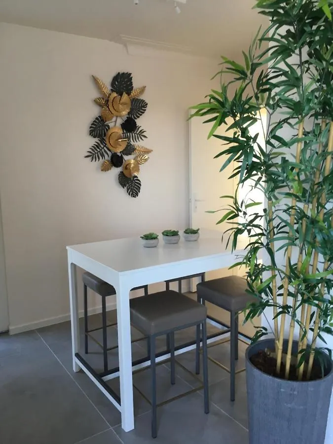 Helena Terras Penthouse Apartment Ostend